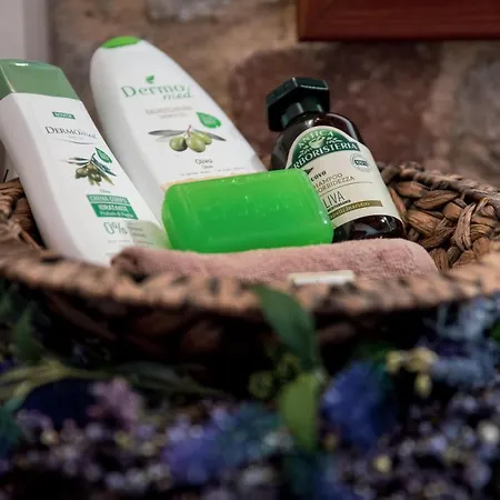 Filerolia Stone House Villa Pastida